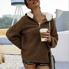 Load image into Gallery viewer, Plush zipper hoodie Sweatshirt