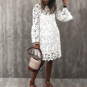 Elegant Lace Round Neck Mini Dress