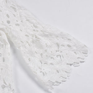 Elegant Lace Round Neck Mini Dress
